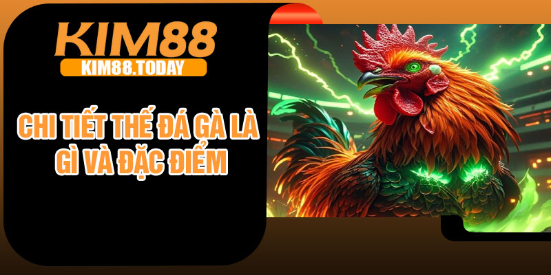 Chi tiết thế đá gà là gì và đặc điểm