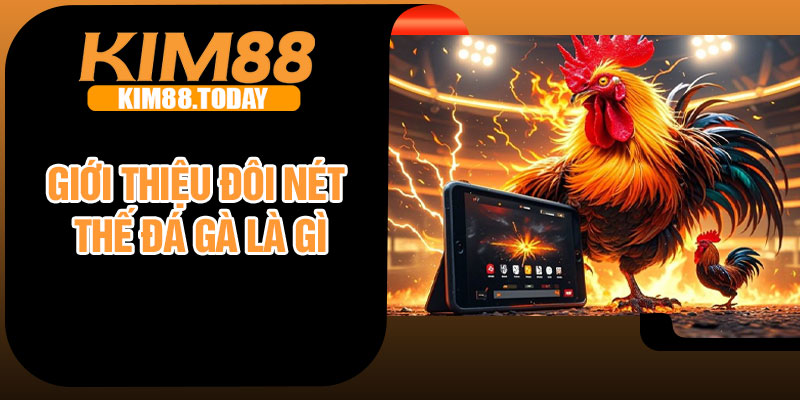 Giới thiệu đôi nét thế đá gà là gì
