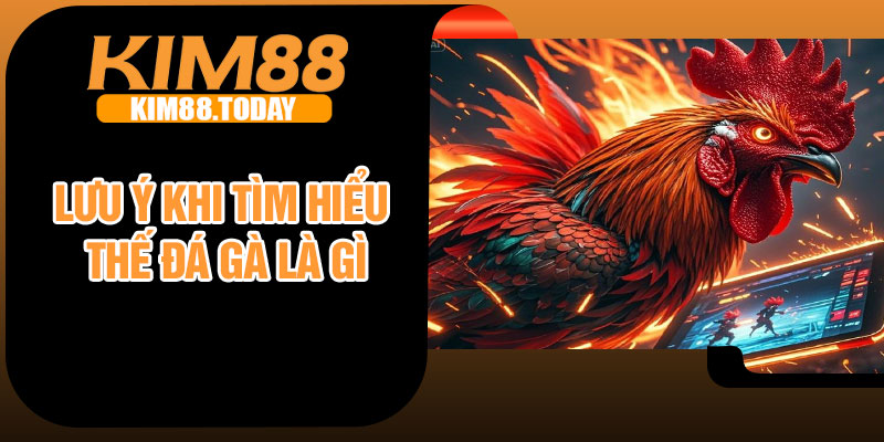 Lưu ý khi tìm hiểu thế đá gà là gì