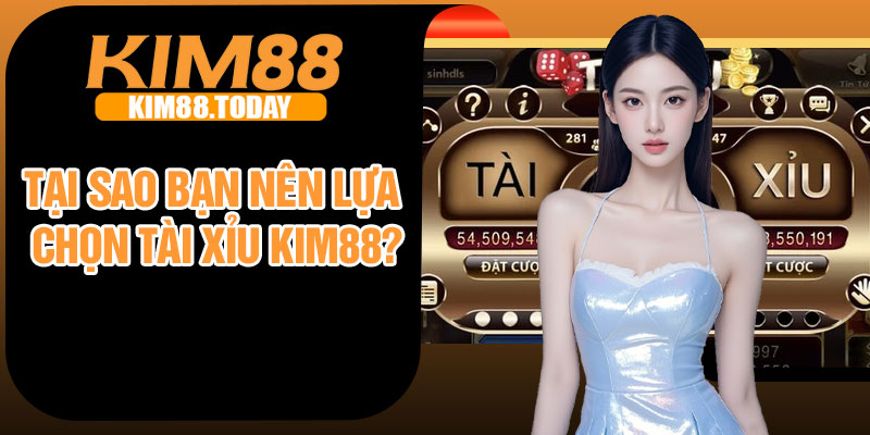 Tại sao bạn nên lựa chọn tài xỉu Kim88?