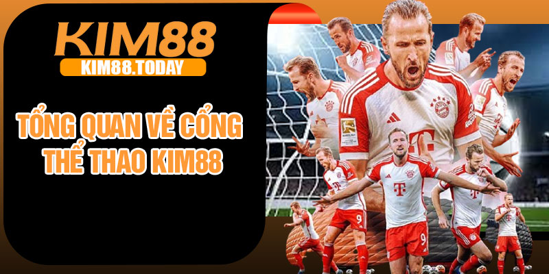 Tổng quan về cổng thể thao Kim88